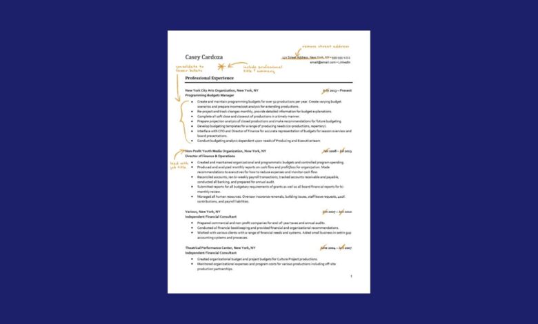 Best Resume Writing Services 2025