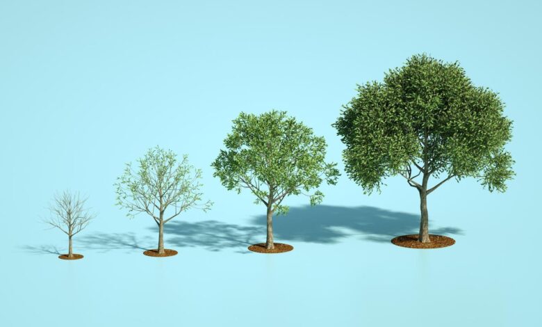 How The Human Resources Function Impacts Business Growth How The Human Resources Function Impacts Business Growth