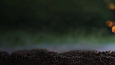 Make Change that Counts: National Financial Literacy Strategy 2021-2026