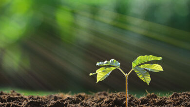 Four reasons intergenerational wealth is destroyed in 3 generations