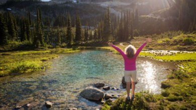 The success of the Canadian pension fund model