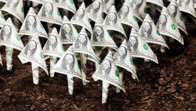 How Venture Capital Works
