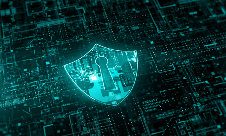 Top Cybersecurity Startups You Need to Know Top Cybersecurity Startups You Need to Know