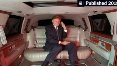 Trump Engaged in Suspect Tax Schemes as He Reaped Riches From His Father