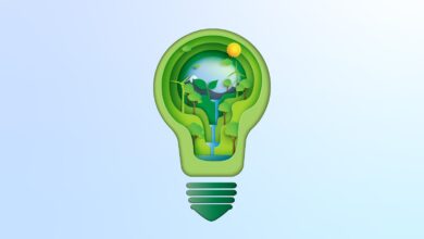 Insights to Impact: A weekly business briefing