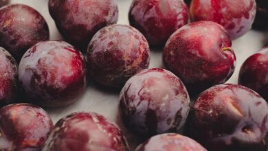 Features, Pros, and Cons Explained – Forbes Advisor UK