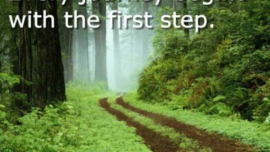 Financial Freedom 101 | Million Dollar Journey
