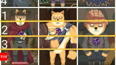 MemeFi daily codes for October 29, 2024: Earn virtual coins with each win |