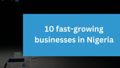 10 fast-growing businesses in nigeria