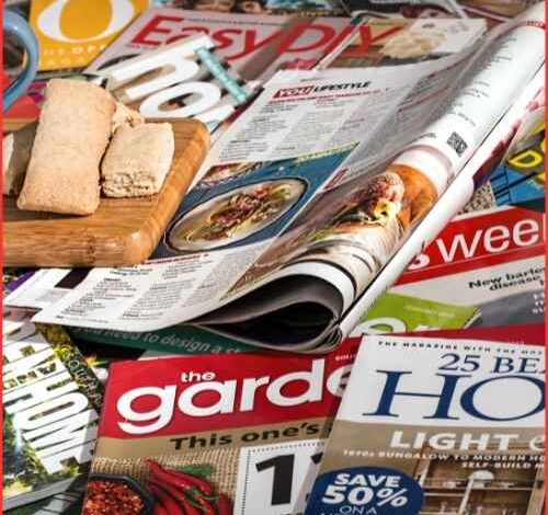 Top Startup Magazines in India to Follow in 2025 Top Startup Magazines in India to Follow in 2025