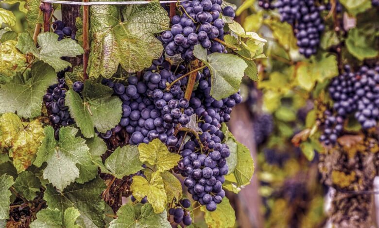 9 ways estate planning is different in 2022