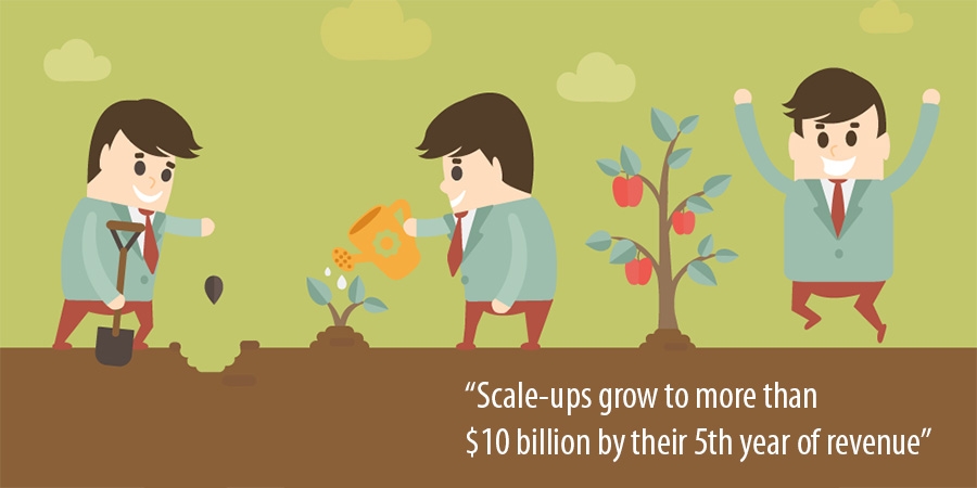 Scale-ups grow to more than $10 billion by their 5th year of revenue Scale-ups grow to more than $10 billion by their 5th year of revenue