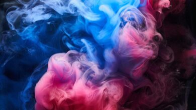 Countering Disinformation Effectively: An Evidence-Based Policy Guide