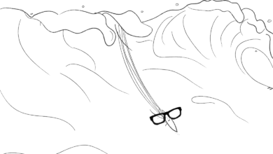 The Algebra of Wealth | No Mercy / No Malice