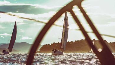 Mindsets and practices of the best CEOs