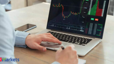 Freedom from Volatility: Why patience could be investors greatest edge