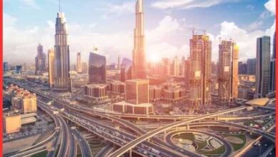 Inspiring Startup Success Stories in UAE (2025 Guide)