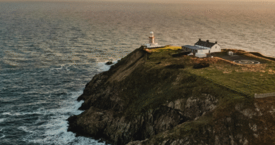 Top Startups and VC Funds