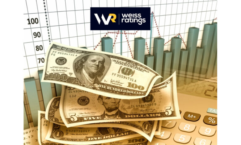 Wealth Megatrends: DeepSeek Disruption Triggers Strategic Guidance From Weiss Ratings on AI Sector Volatility Wealth Megatrends: DeepSeek Disruption Triggers Strategic Guidance From Weiss Ratings on AI Sector Volatility