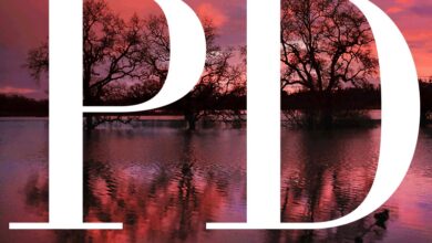 Wealth managers talk about challenges, risk and what’s ahead – The Press Democrat